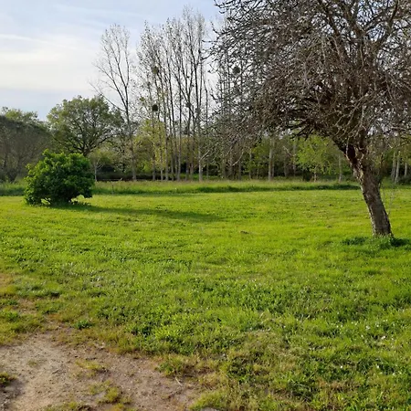Grande Maison - Jardin Et Piscine - 15 Mn Des Plages Holiday home